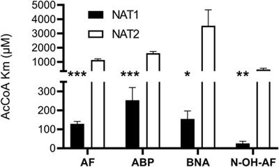 Human N-Acetyltransferase 1 and 2 Differ in Affinity Towards Acetyl-Coenzyme A Cofactor and N-Hydroxy-Arylamine Carcinogens
